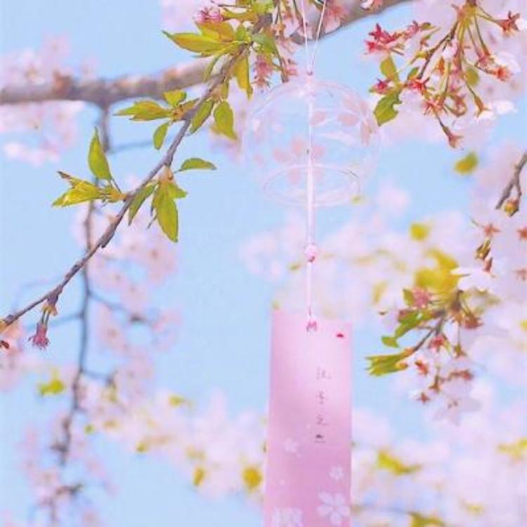 相乐总三（身份：赤报队队长、左之助师父） - 纪录片资源库在线观看 - 在线视频